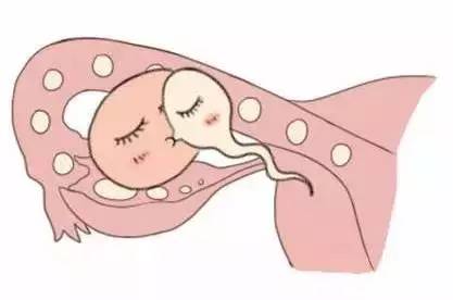 试管代妈公司代生生男孩生殖医学中心